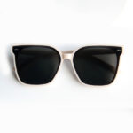 GM counter sunglasses