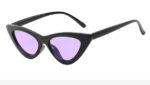 Cat-Eye Sunshade Sunglasses - Image 5